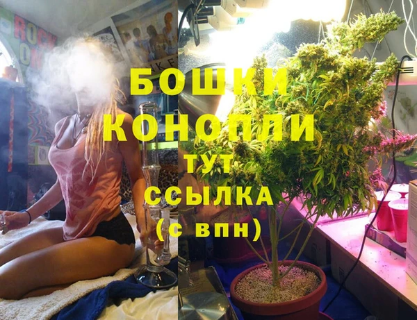 бошки Костерёво