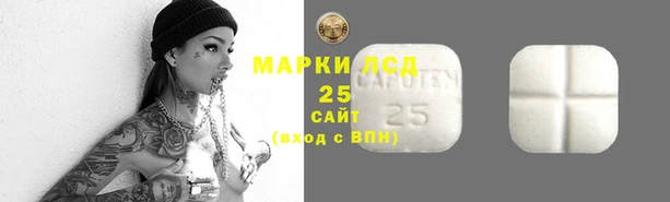 прущие крисы Коряжма