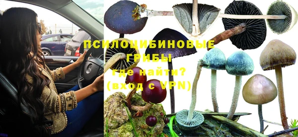 mix Корсаков